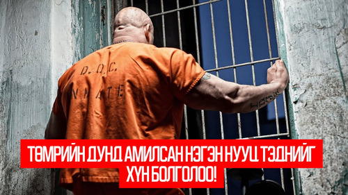 In the Heart of the Machine (2022)